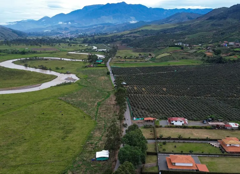 Vista aérea de un gran cultivo de aguacate. FOTO: Manuel Saldarriaga