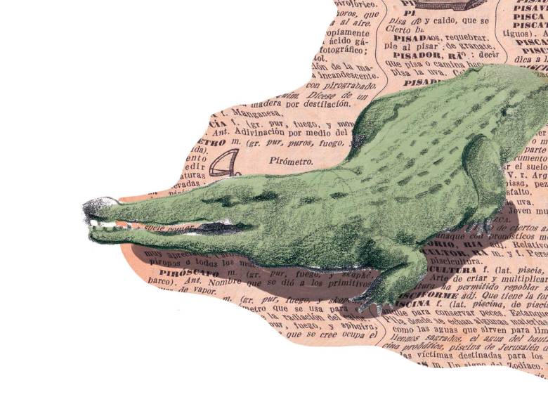 Los cocodrilos son de los grandes peligros de los ñus. Ilustración Laura Ospina