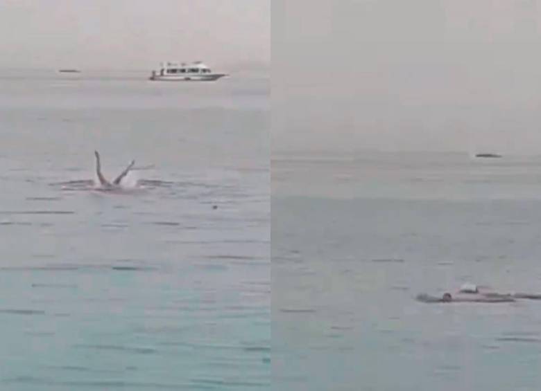 Joven ruso murió tras fuerte ataque de un tiburón. Foto: Pantallazos de video en Twiiter @MundoEConflicto. 