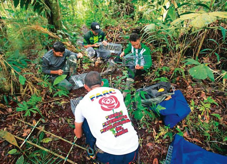 La expedición en Anorí tuvo a los reincorporados como investigadores. Fue una de las experiencias más exitosas entre las expediciones BIO. FOTO Cortesía