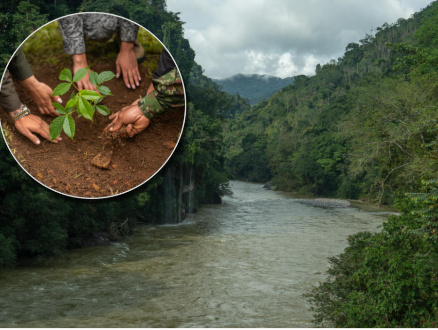Gracias a distintos programas de conservación ambiental, la región Cornare logró el índice más bajo de deforestación de Antioquia. Fotos: cortesía Cornare.
