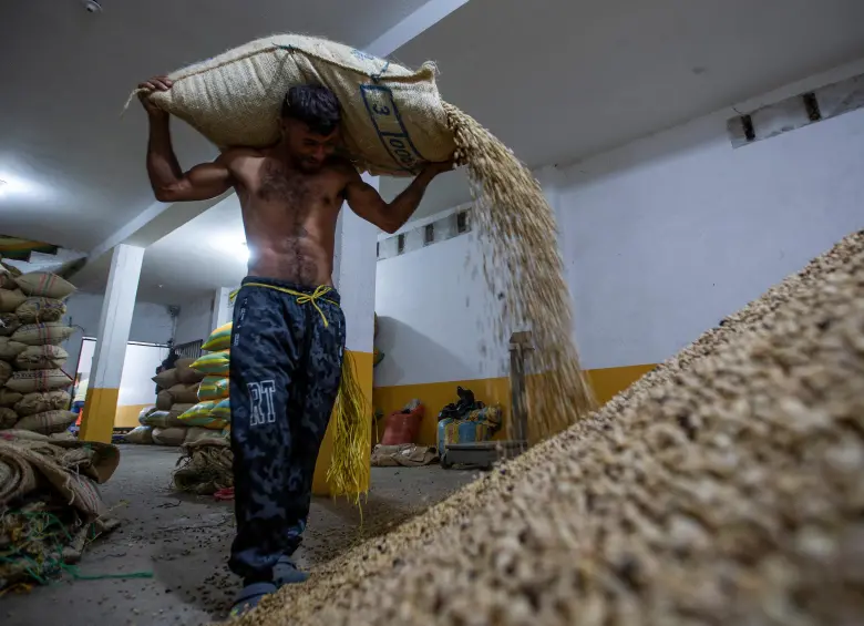 Gobierno y Federación de Cafeteros prorrogaron por cinco meses la administración del Fondo Nacional del Café. FOTO Julio César Herrera