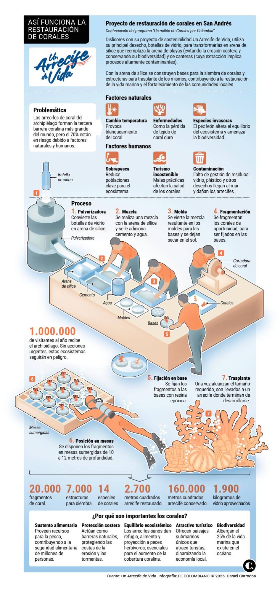 InfogrÃ¡fico