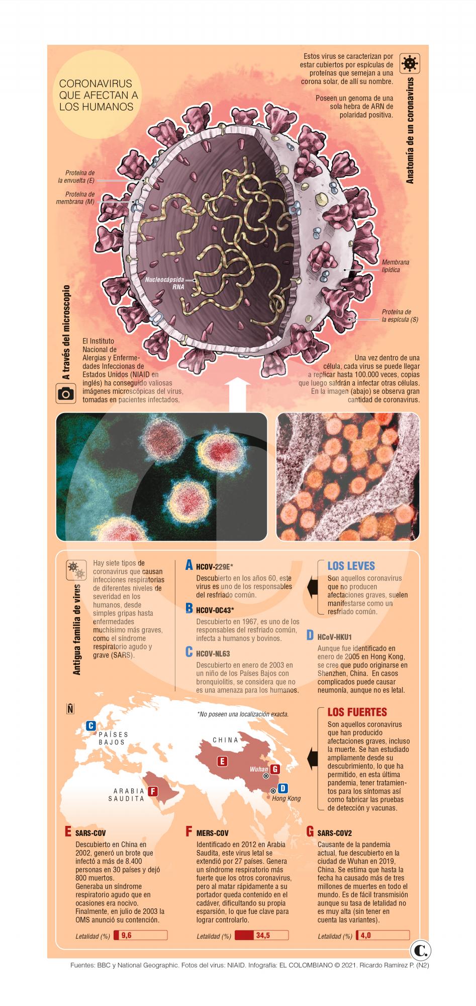 InfogrÃ¡fico
