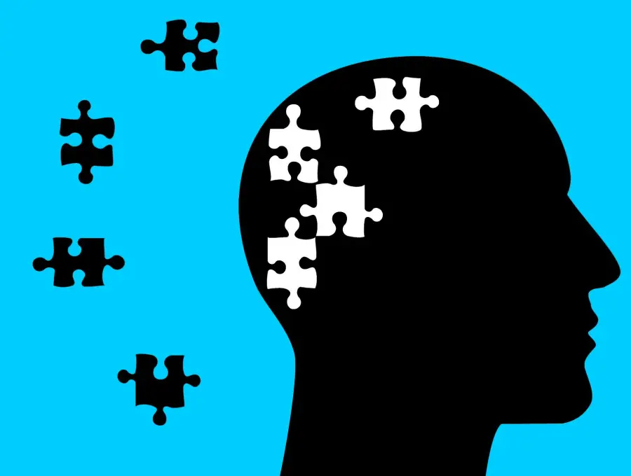 El estudio analizó más de 43.000 células cerebrales y halló alteraciones vinculadas a los síntomas del síndrome de Tourette. FOTO Pixabay