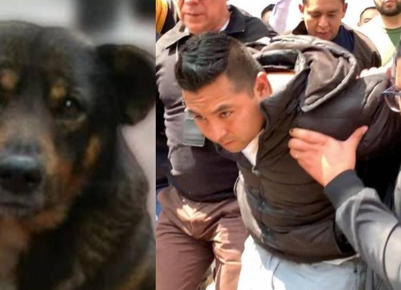 Los internautas comenzaron con varias campañas en memoria del perro. FOTO: Twitter @erneestin5_7 y @DrDecorazon1