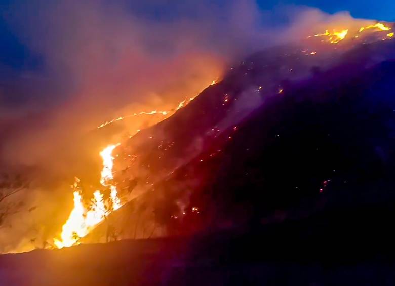Desde el Gobierno Nacional ya se gestiona un refuerzo de bomberos para controlar el fuego. Foto: CAPTURA DE VIDEO