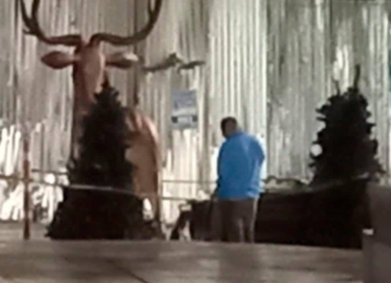 ¡Indignante! Alumbrados en Rionegro, que aún no han sido encendidos, fueron vandalizados