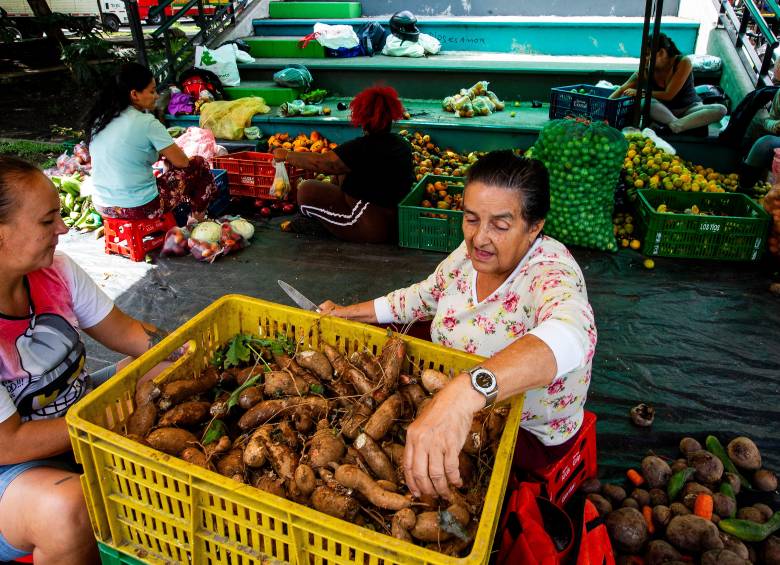 Los efectos de El Niño se transmiten en una menor oferta de alimentos, reducción de la productividad y aumento de los costos de producción. Foto: Julio Herrera