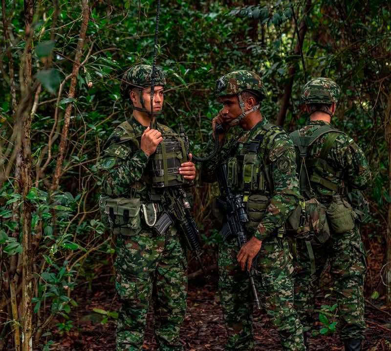 De acuerdo con el Ministerio de Defensa, en lo corrido del año han nuetralizado a 1.170 señalados miembros del Clan del Golfo. FOTO CORTESÍA