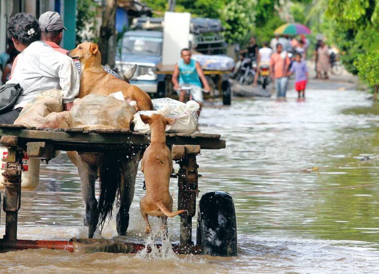 Aunque la problemática en el río Cauca es recurrente, esta se ha agravado desde 2010. FOTO Jaime Pérez