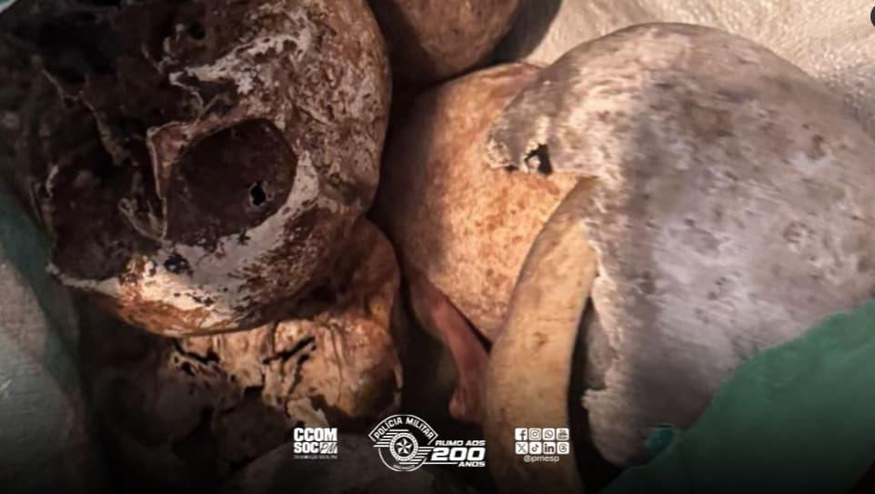 Doce cráneos fueron encontrados en el apartamento de un hombre recientemente fallecido en la ciudad de São Paulo. FOTO: Policía de São Paulo, Brasil. 