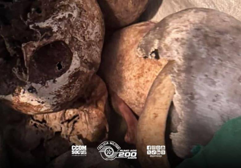 Doce cráneos fueron encontrados en el apartamento de un hombre recientemente fallecido en la ciudad de São Paulo. FOTO: Policía de São Paulo, Brasil. 