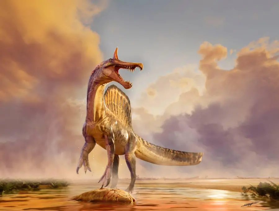 Esta es una de las representaciones realizadas del Spinosaurus mirabilis. FOTO: Dani Navarro