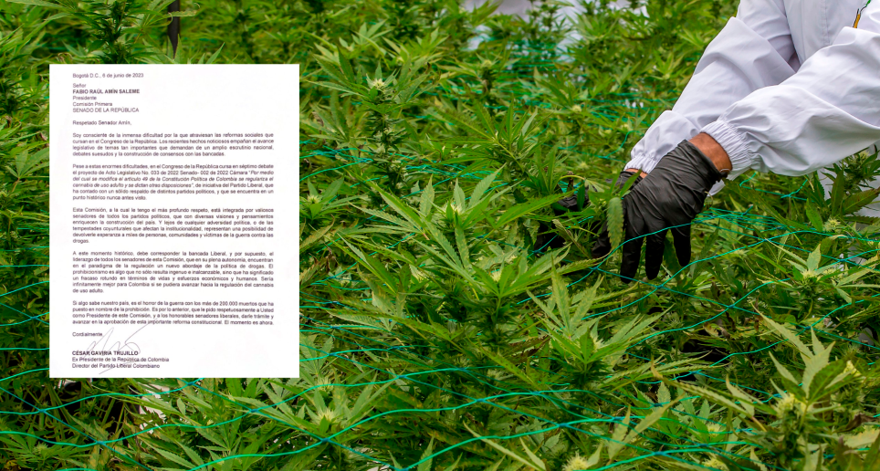 La regularización del cannabis podría representale al país ingresos hasta por 400 millones de dólares al año. FOTO JUAN ANTONIO SÁNCHEZ OCAMPO 