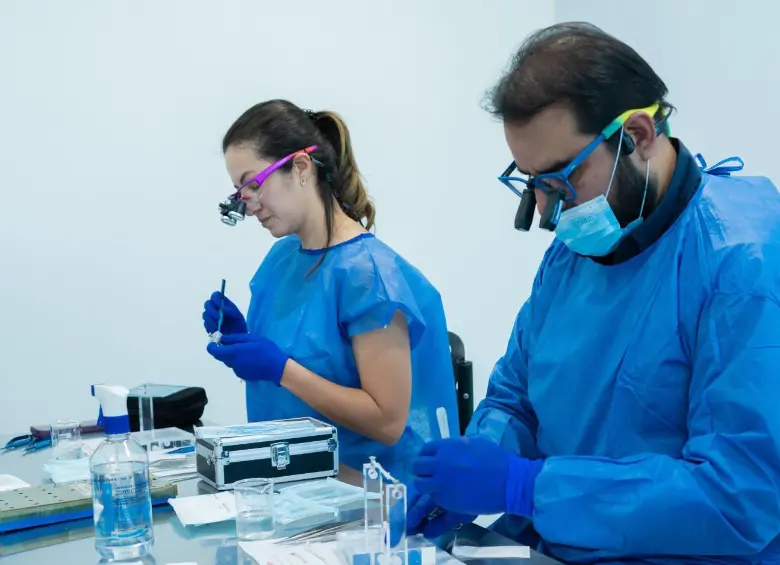 Este adelanto busca reducir la necesidad de injertos tomados del propio paciente, uno de los procedimientos más utilizados hoy para reparar este tipo de lesiones. FOTO cortesía