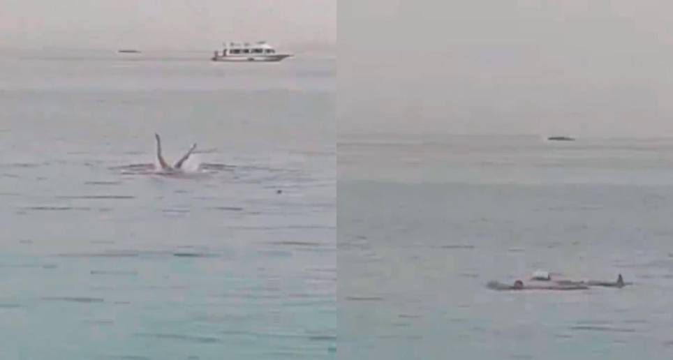 Joven ruso murió tras fuerte ataque de un tiburón. Foto: Pantallazos de video en Twiiter @MundoEConflicto. 