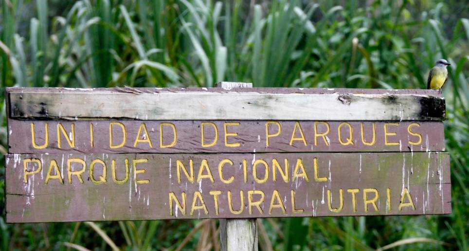 El Parque Nacional Natural Utría está ubicado en el departamento del Chocó. FOTO: EL COLOMBIANO