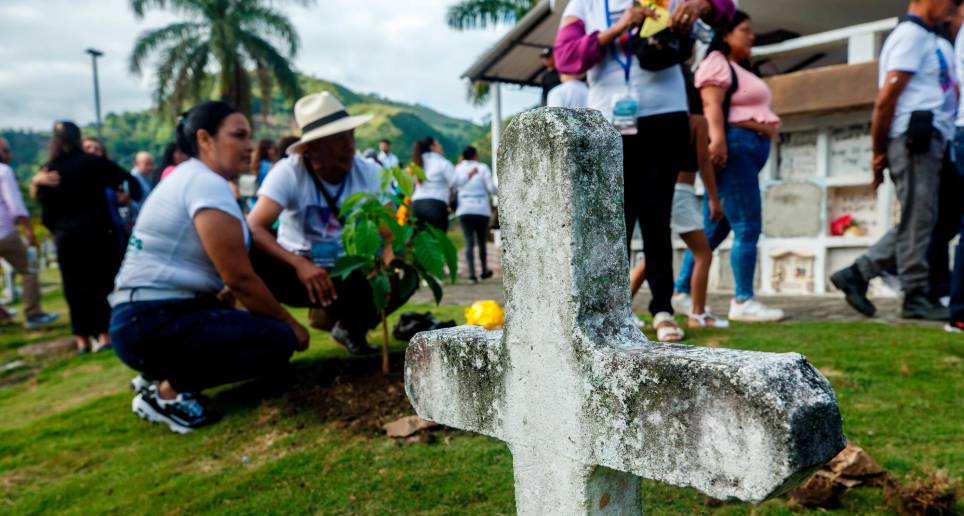 En el cementerio de Dabeiba fueron sembrados tres guayacanes en memoria a las víctimas desaparecidas y enterradas en el cementerio de ese municipio. La JEP hizo diencia pública en el coliseo. FOTO camilo suárez