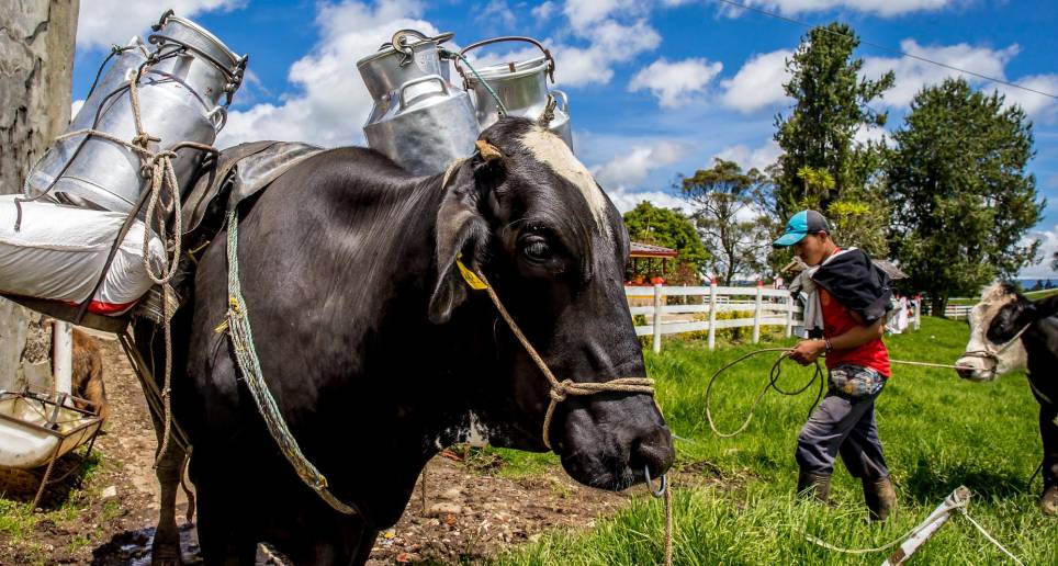 El consumo de leche y sus derivados cayó un 6,5%