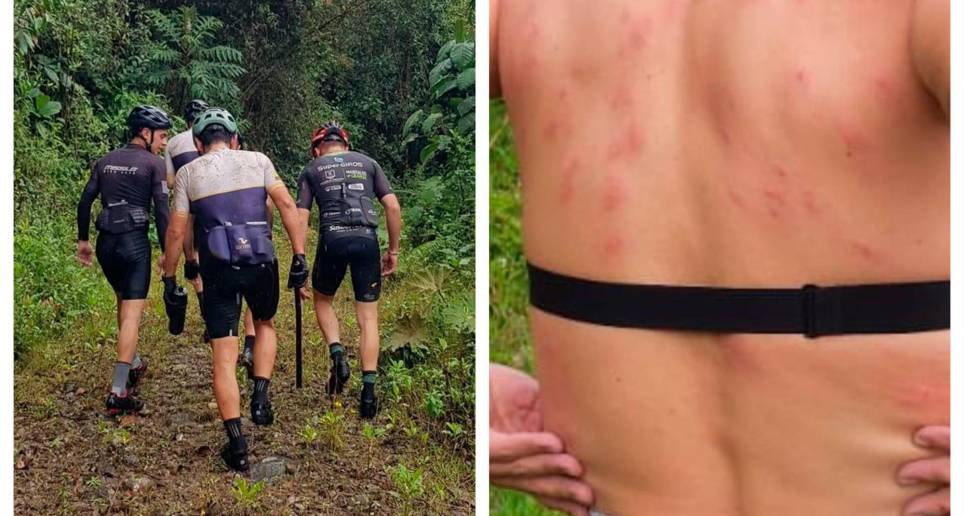 Los ciclistas tuvieron que dejar sus bicicletas abandonadas para escapar del ataque de las abejas. FOTOS: CORTESÍA