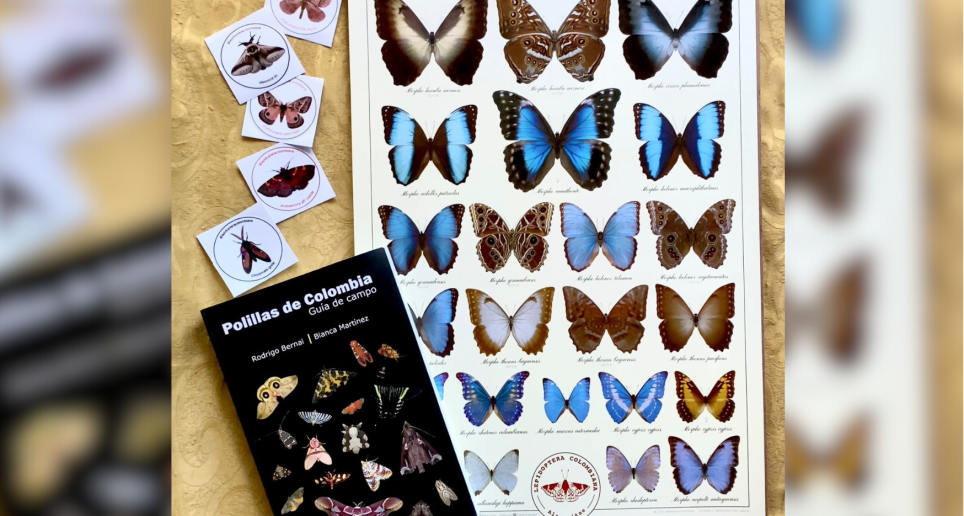 Esta es la guía junto con el afiche de mariposas y polillas que venden en Lepidoptera Colombiana. FOTO: Cortesía @Lepidopteracolombiana