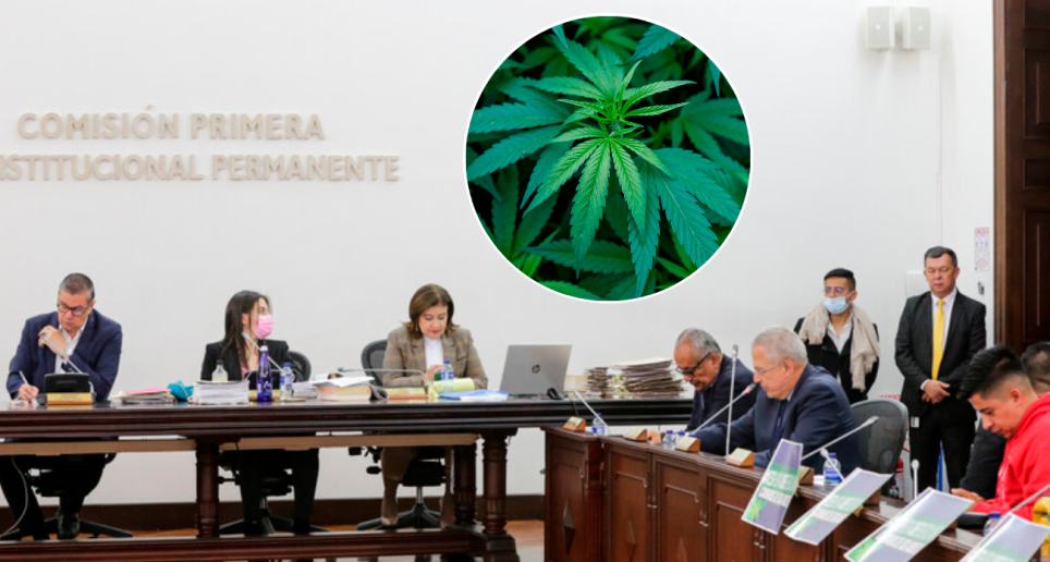 El proyecto de acto legislativo que regula el comercio de cannabis pasó el séptimo debate en la Comisión Primera del Senado con 15 votos a favor y 4 en contra. FOTO COLPRENSA Y EL COLOMBIANO