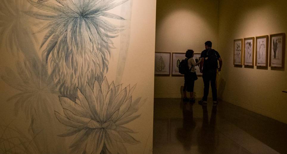 La exposición se ve en la sala Historias para Repensar del Museo de Antioquia. Foto: Julio César Herrera.