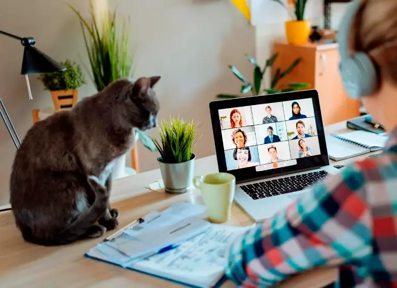 Persona disfrutando del trabajo híbrido, junto a su mascota. FOTO: Shutterstock