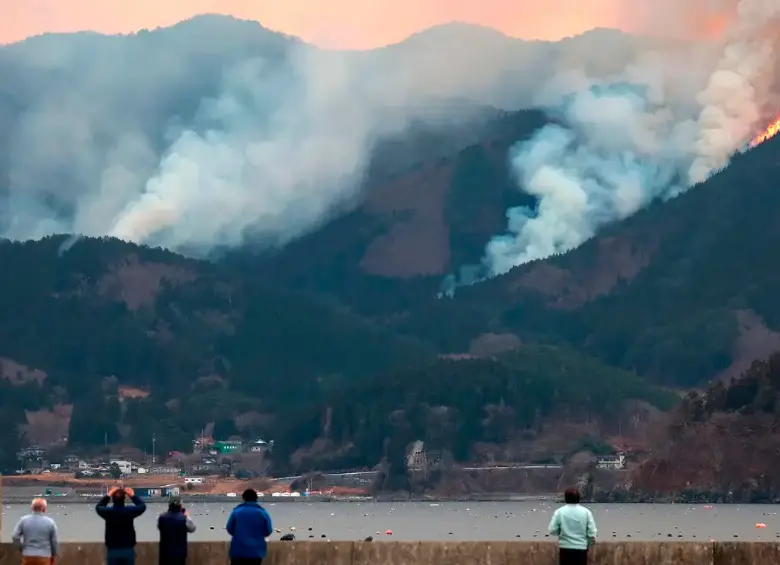 En algunos ecosistemas, los incendios naturales favorecen la regeneración del paisaje y permiten que especies únicas emerjan tras el fuego. FOTO AFP