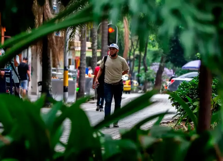 Muestras de aire tomadas en Medellín revelaron una diversidad bacteriana inesperada en el material particulado que circula por la ciudad. FOTO Julio César Herrera 