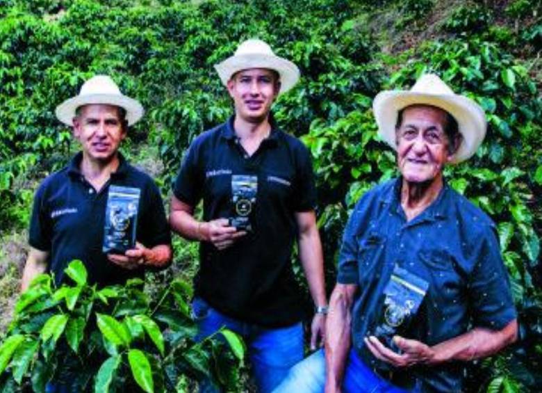 En la finca de Comunidad, practican la agricultura regenerativa y siembran variedades de café como la Catuaí, la Geisha o el Borbón Rosado. FOTO JULIO CÉSAR HERRERA