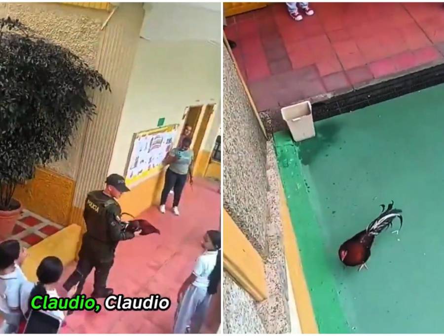 Por fortuna, Claudio fue hallado sano y salvo y devuelto a la institución educativa, donde lo recibieron con gran alegría y júbilo.