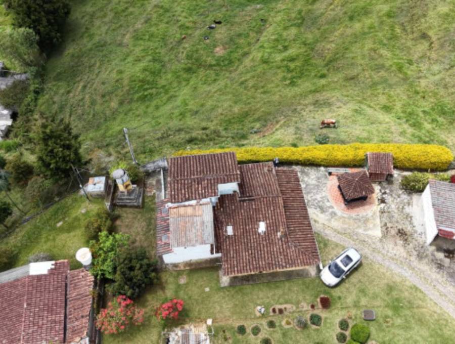 Uno de los inmuebles, ubicado en Guarne, se destinará para la creación de un refugio para animales en condición de abandono. FOTO SAE.