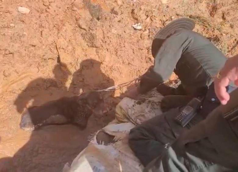 El perro quedó atrapado entre la tierra y los policías lograron sacarlo sano y sin lesiones. IMAGEN TOMADA DEL VIDEO
