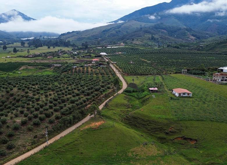 En la vía entre Urrao y Betulia resaltan dos asentamientos que son los preferidos por los “nuevos ricos”. FOTOS Manuel Saldarriaga