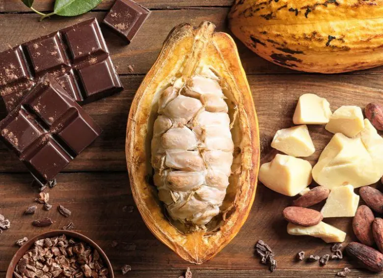 Estudio relaciona el cacao con la reducción del ritmo de envejecimiento
