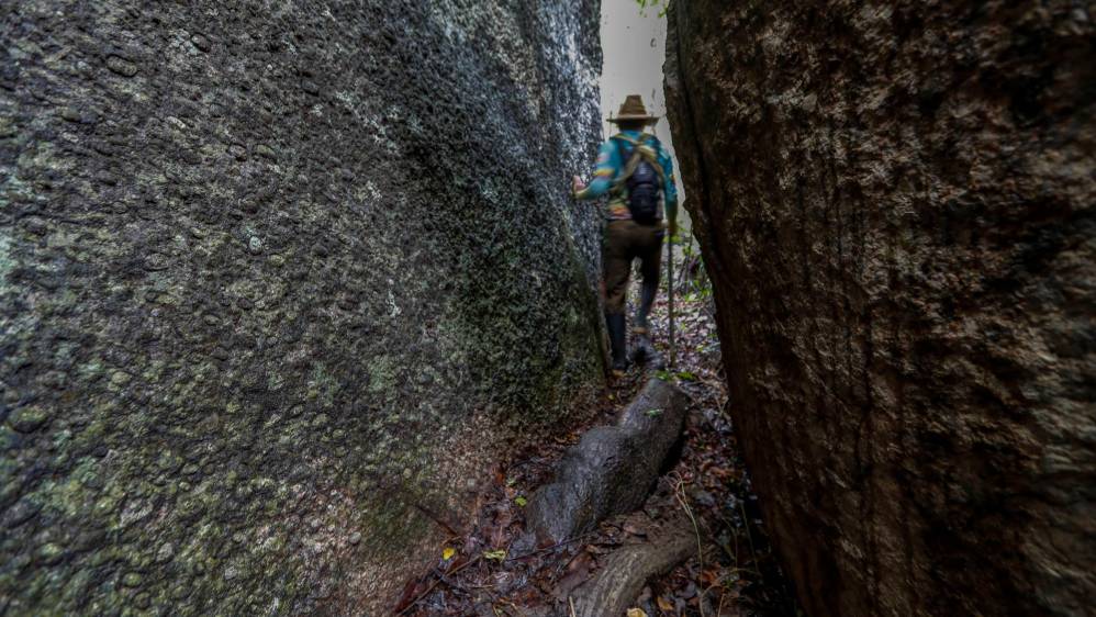 En los afloramientos rocosos la vegetación arbórea es escasa, crean condiciones de temperaturas extremas. Foto: Manuel Saldarriaga Quintero.