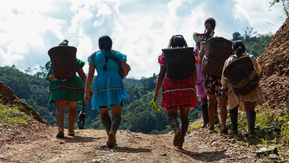 En sus resguardos las mujeres salen a trabajar con bejucos a la espalda en búsqueda de plátano y otros productos alimenticios. Foto: MANUEL SALDARRIAGA QUINTERO.