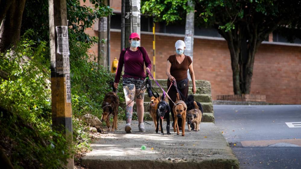 Paseadores de perros recorriendo el barrio La América. Foto Carlos Velásquez