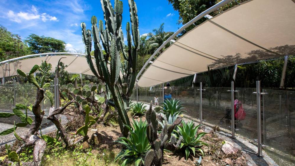 El jardín del desierto es donde más se siente el calor, por el tipo de plantas que necesitan alta radiación solar y poca agua. Foto: Edwin Bustamante