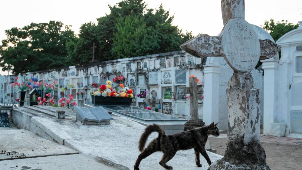 Por más extraño que parezca, habitantes y visitantes de Mompox ven el cementerio municipal como un sitio obligatorio para visitar. FOTO: Jaime Pérez