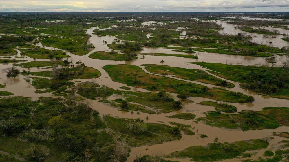 La inundación a La Mojana arruinó cultivos y ahogó vacas, y marranos, y perros, y pollos, y esperanzas. Foto: MANUEL SALDARRIAGA QUINTERO.
