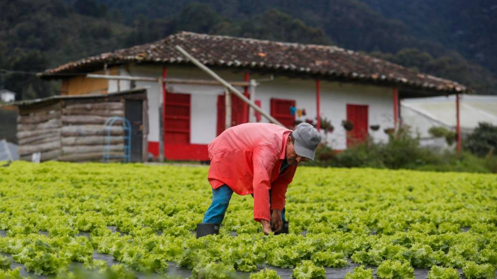 Mauricio Quintero, Profesional universitario de desarrollo Agropecuario, afirma que el Agro mercado contribuye a la economía familiar de cada uno de los vendedores. Foto Manuel Saldarriaga Quintero.