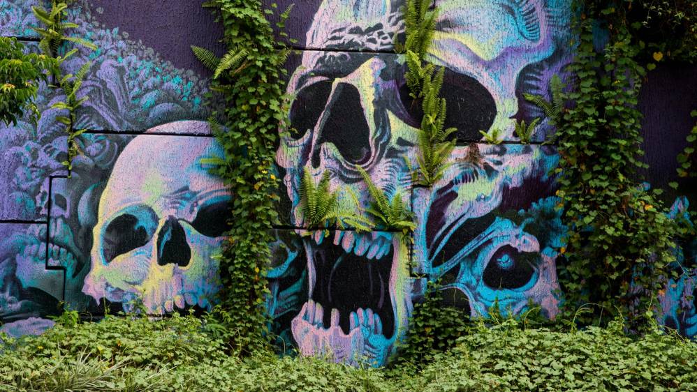 En Medellín muchos murales cobran vida con ayuda de la naturaleza. Fotos Julio César Herrera