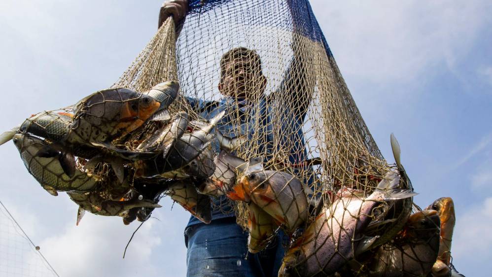 Titan Fish es una piscícola apoyada por Avancemos Bajo Cauca. Foto: Julio César Herrera 