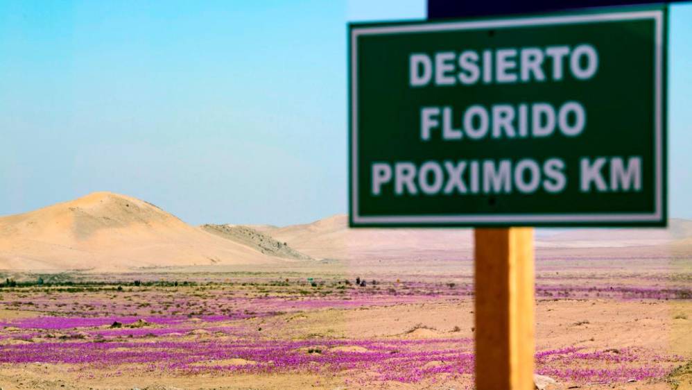 Este desierto ubicado al norte de Chile es considerado el más seco y árido del mundo. Foto AFP