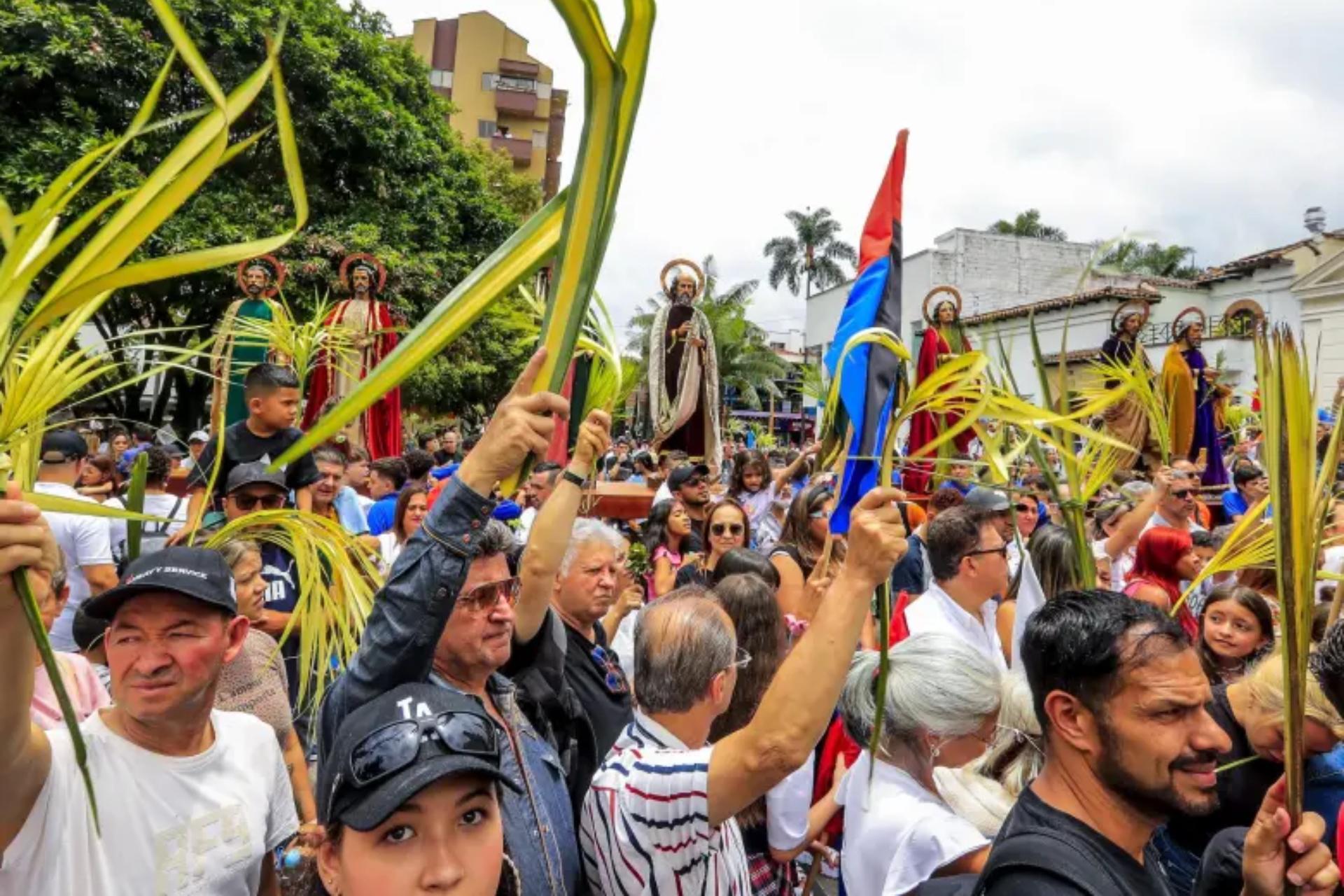 Alertan aumento de tráfico de animales y palma de cera en Semana Santa: cortarla podría darle hasta 11 años de cárcel