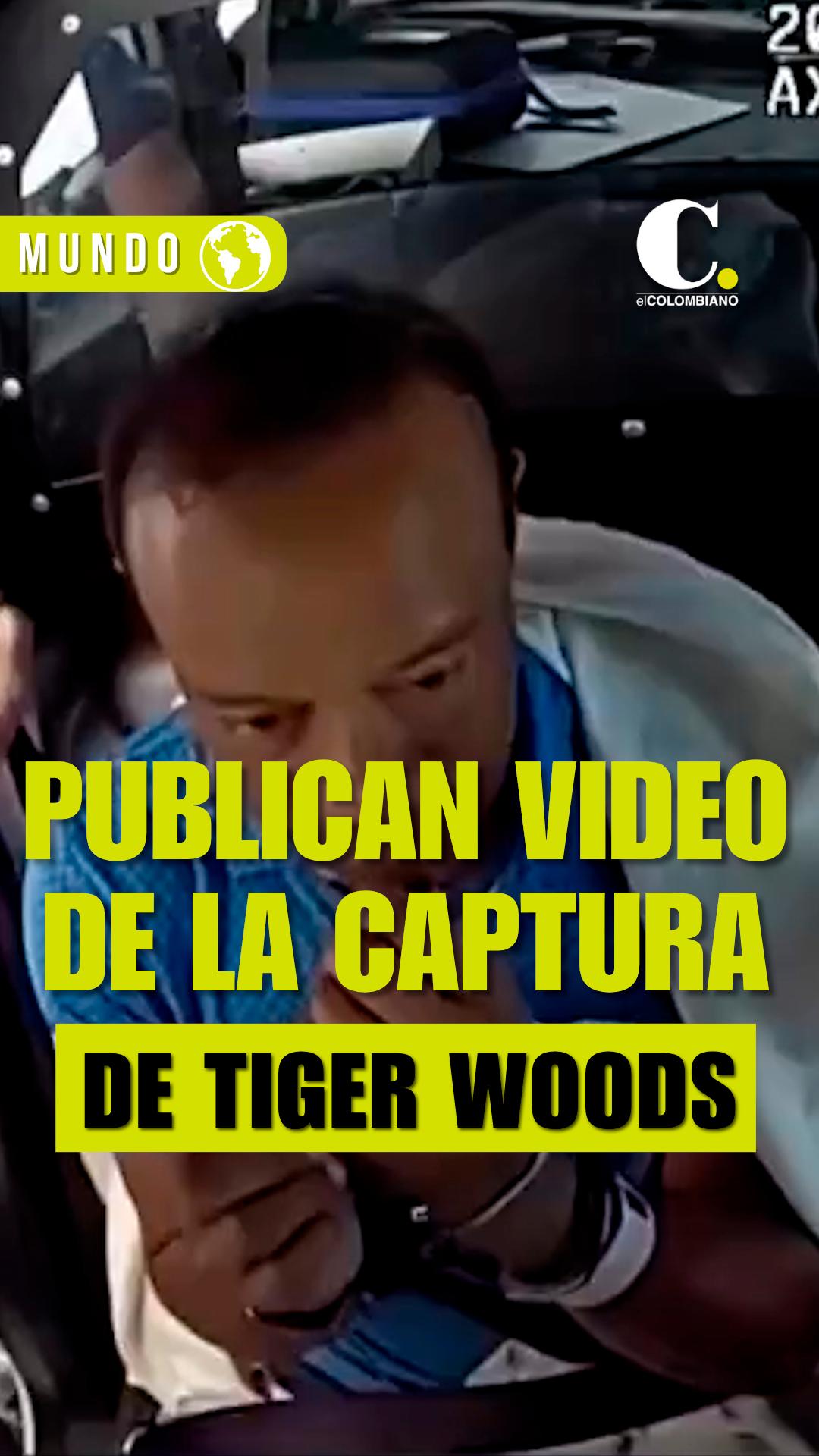 This Was the Capture of Tiger Woods After a Traffic Accident