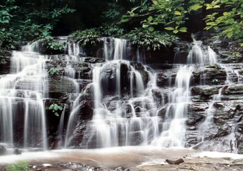 El Parque Nacional Los Katíos tiene 72.000 hectáreas de extensión. FOTO cortesía parques Unesco 
